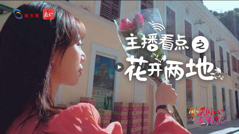 主播看點(diǎn)之花開兩地