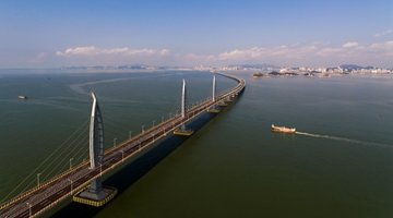 廣東迎來全國首批粵港澳大灣區(qū)律師