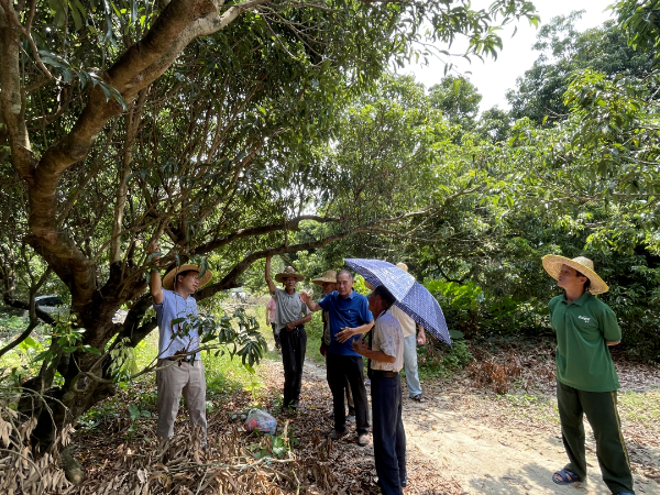 澳門(mén)特區(qū)政府召開(kāi)促進(jìn)橫琴建設(shè)領(lǐng)導(dǎo)小組首次工作會(huì)議