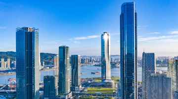 一組數字看《粵港澳大灣區發展規劃綱要》發布四周年累累碩果→