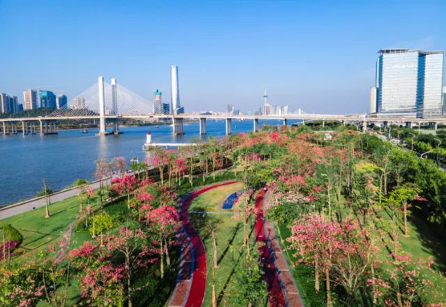 近年來，橫琴致力推動與澳門的一體化發(fā)展，建設包括“澳門新街坊”在內(nèi)的一大批宜居宜業(yè)項目，大力推進宜居宜業(yè)宜游優(yōu)質(zhì)生活圈的建設。圖為橫琴花海長廊。