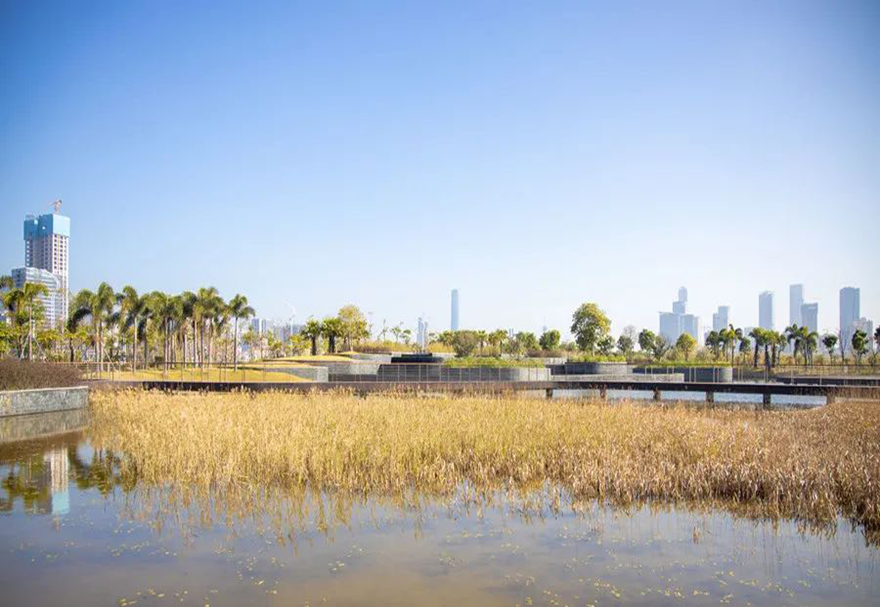 除了加強交通互聯(lián)互通建設，橫琴粵澳深度合作區(qū)還大力推進生態(tài)設施建設，打造美好生活家園。圖為橫琴國際居住區(qū)海綿城市系列公園。