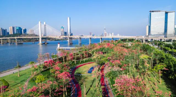 建設美麗橫琴新家園：橫琴澳門齊攜手 共建宜居宜業宜游生活圈