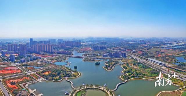 圖為佛山市南海區獅山鎮博愛湖。南方日報記者 戴嘉信 攝