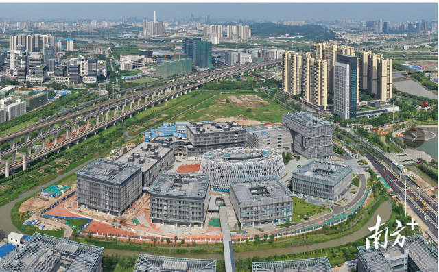 來自市、區相關政府部門和科技創新平臺負責人參與，共話科技創新。戴嘉信 攝