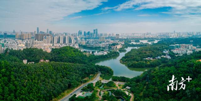 惠州城區。南方+記者 王昌輝攝