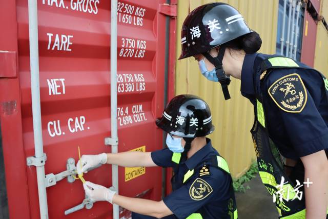 江門海關(guān)所屬高沙海關(guān)關(guān)員開展監(jiān)管作業(yè)。江關(guān)宣 攝