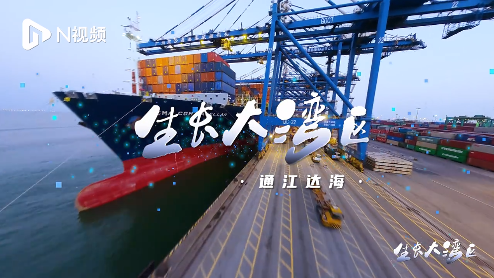 通江達海！在智慧碼頭南沙港看中國汽車外貿(mào)如何“生長”