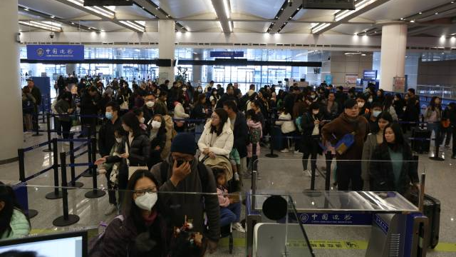 單日1.6萬輛次！港珠澳大橋通關車流量再破紀錄