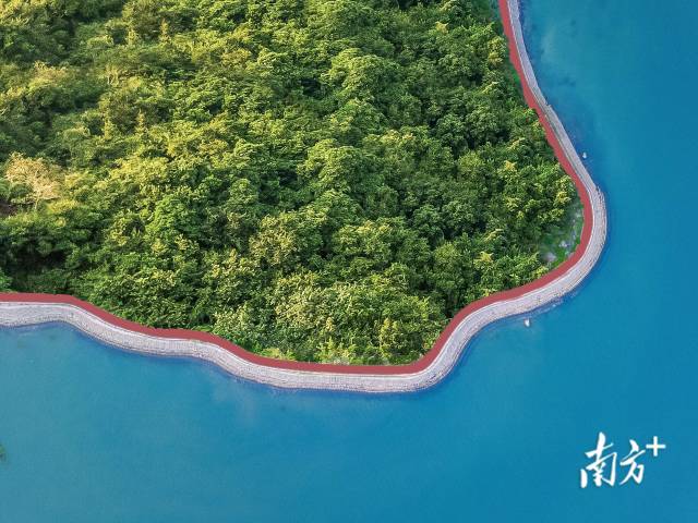 小桂綠道。大亞灣開發(fā)區(qū)供圖