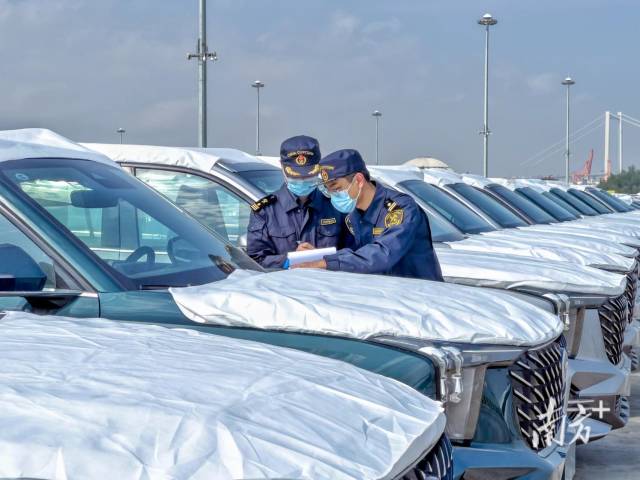 廣州海關所屬南沙海關關員對出口國產汽車進行監管。南方+記者 石磊 通訊員 關悅 攝