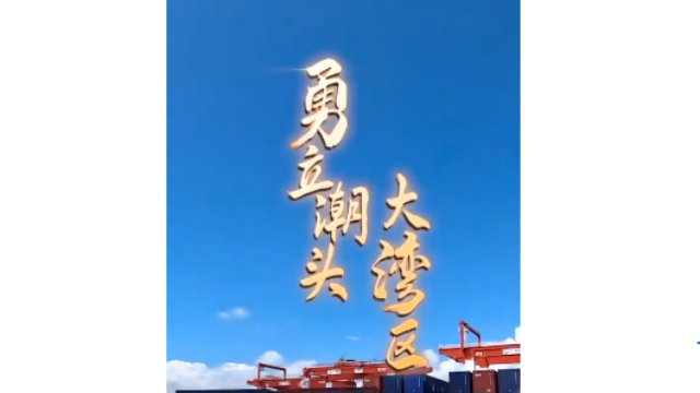 勇立潮頭大灣區丨震撼！看廣州南沙港智慧碼頭“隔空取物”