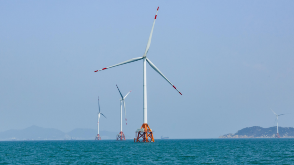 向海而興！大灣區(qū)不斷擦亮“藍色名片”