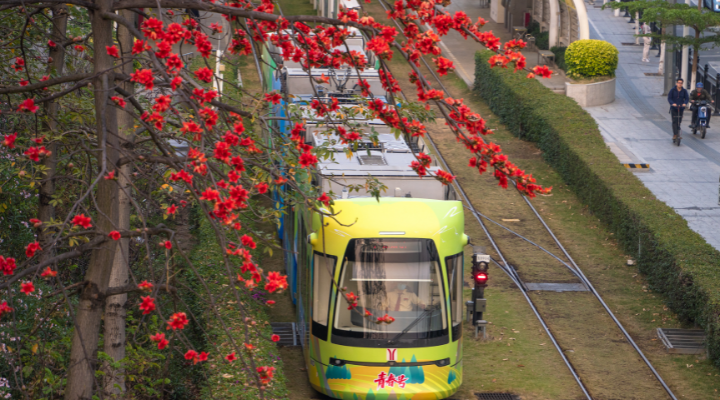 春雨后，和大灣區(qū)來一場浪漫的邂逅