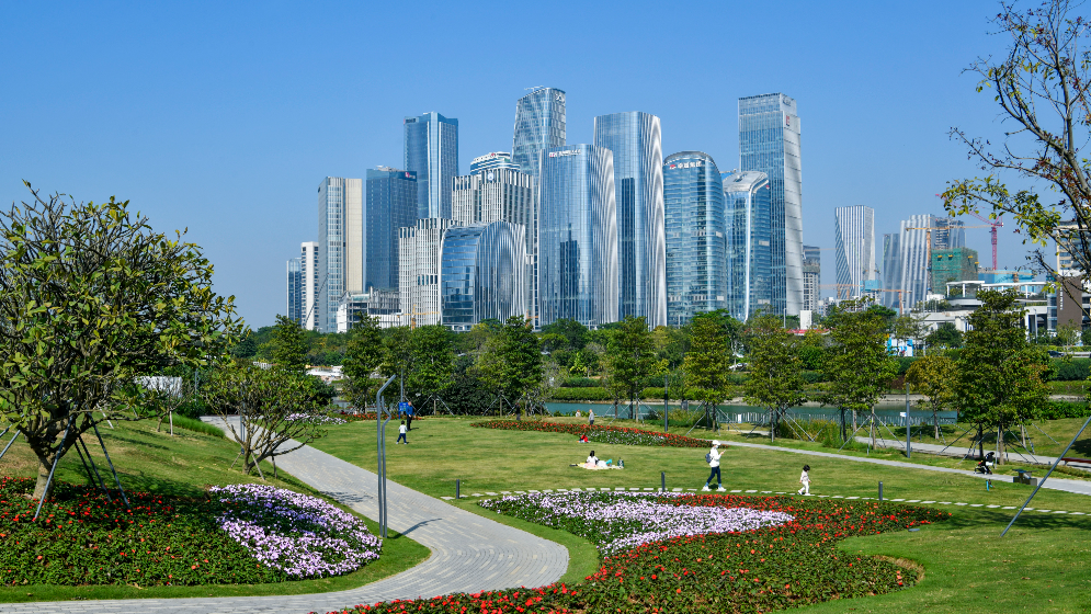 新模式！前海聯(lián)合交易中心聯(lián)動期貨市場 創(chuàng)新開展大豆產(chǎn)業(yè)鏈服務(wù)