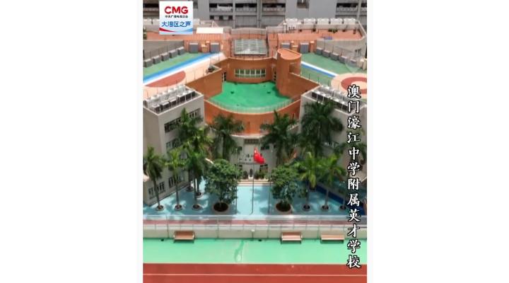 勇立潮頭大灣區丨愛國愛澳，因根深而葉茂