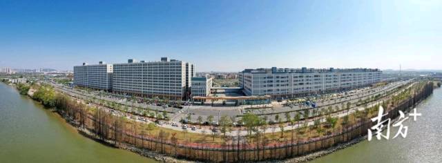 一批深圳企業來到江門建廠，嘗到了深江產業合作的甜頭。圖為德昌電機（江門）有限公司。南方+記者 楊興樂 攝