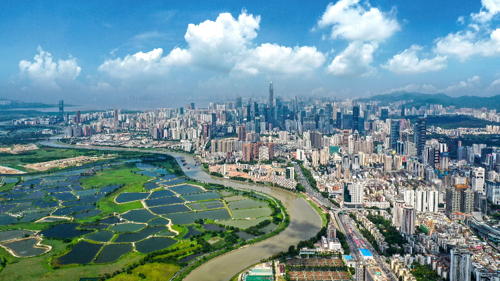 涉及8大領域28項執業資格！境外專業人才河套執業便利新舉措