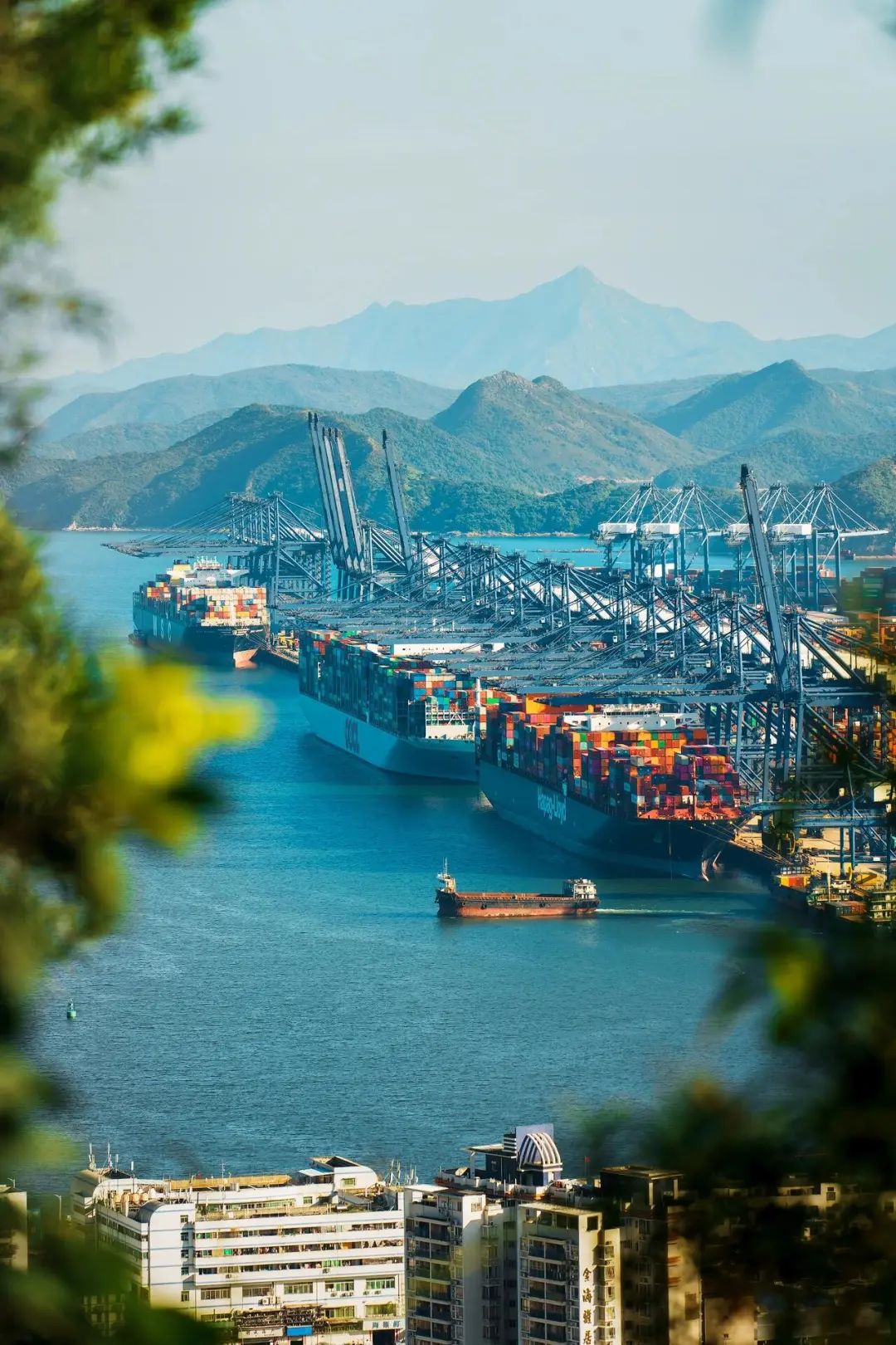深圳港 深圳港