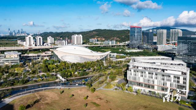 “開方”中醫藥：琴澳攜手讓“中藥香”飄向世界