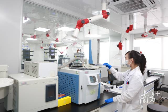 目前，廣東擁有藥品生產企業(yè)684家、醫(yī)療器械生產企業(yè)5052家，數(shù)量均居全國第一。圖為研發(fā)人員在實驗室中工作。張令 攝