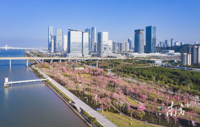 橫琴粵澳深度合作區