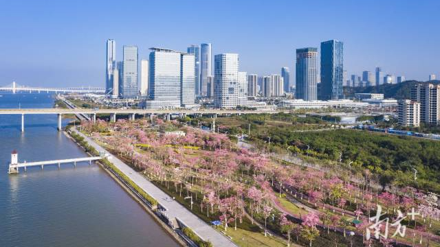 注冊資本200億元！橫琴粵澳開發投資公司揭牌