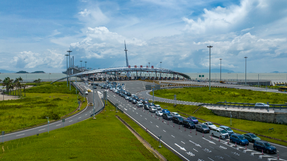 南北雙向奔赴！港珠澳大橋暑期客流車流雙雙創新高