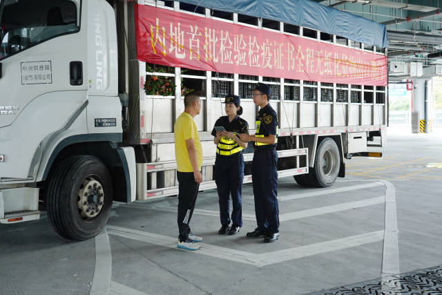 出口澳門植物實現檢驗檢疫證書無紙化通關