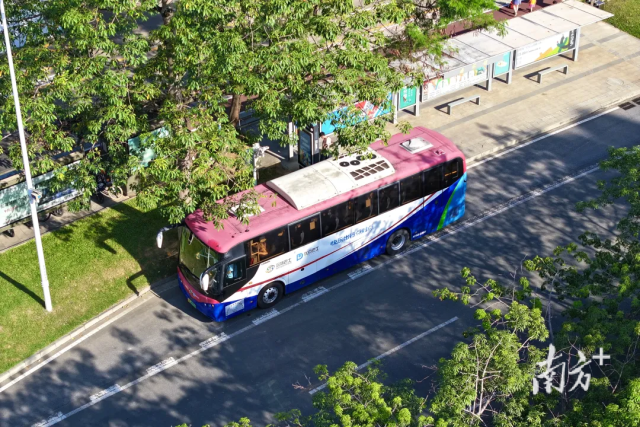 “松山湖-光明”跨市公交假日專線