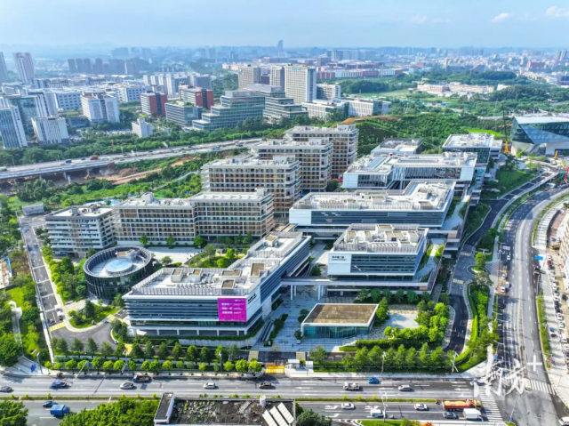 香港城市大學（東莞）