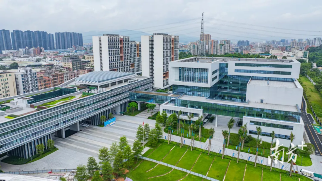 大灣區大學（籌）