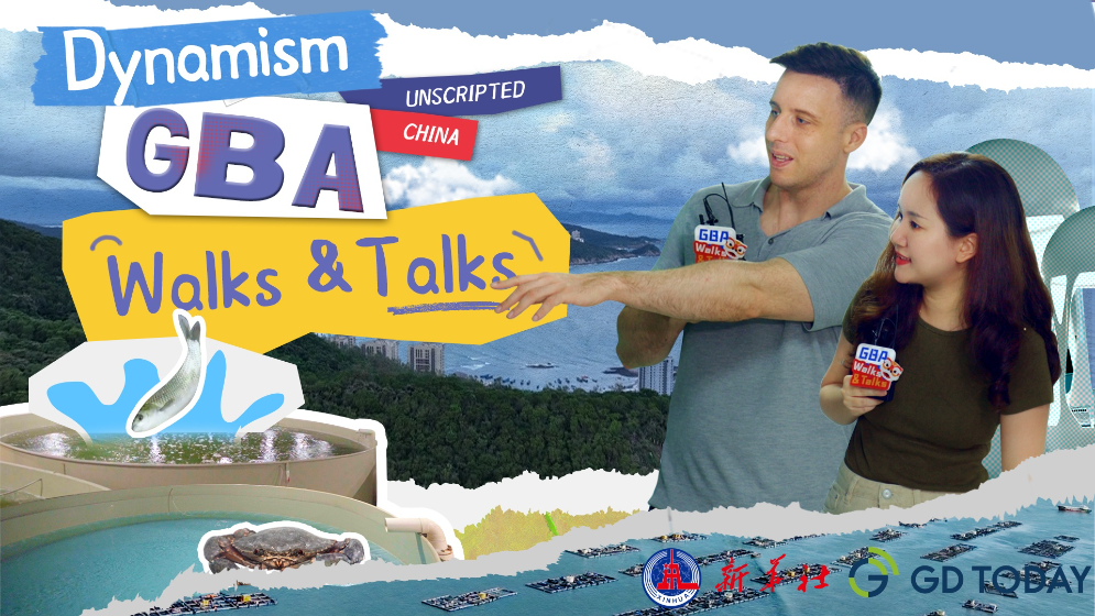 走讀活力灣區丨“藍色糧倉”持續升級