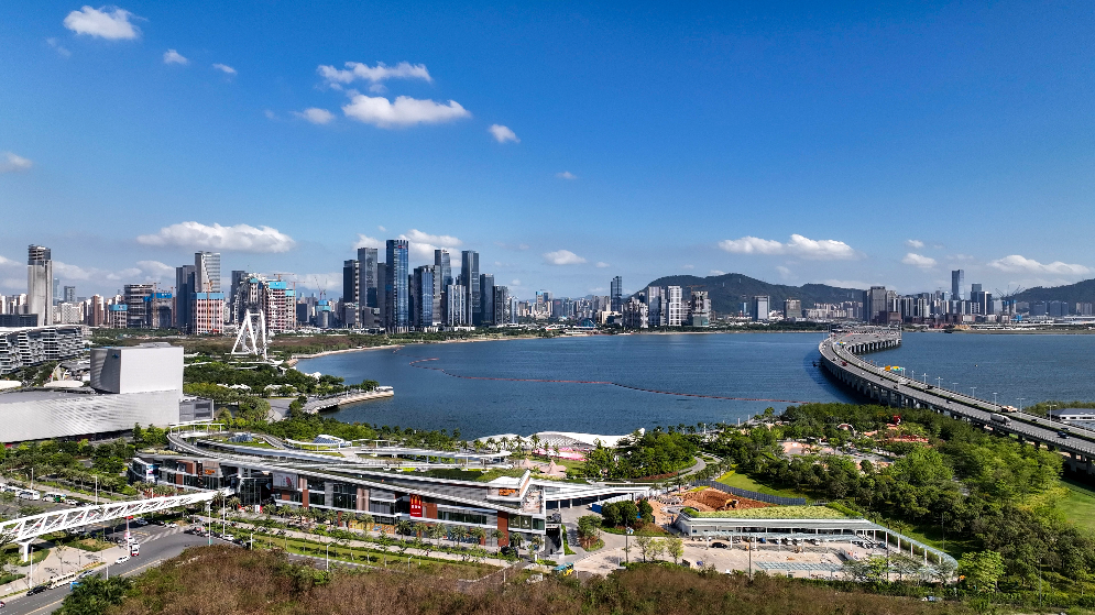 現場簽約近300億元！2024大灣區—東盟經濟合作（前海）論壇開幕