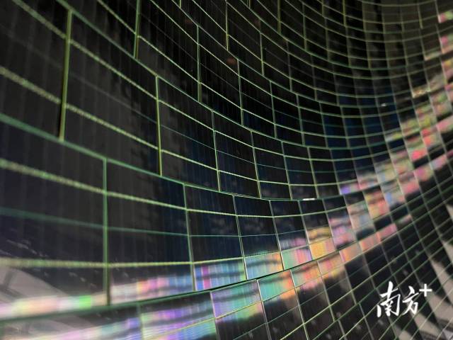 臺山中微子實驗的硅光電倍增器。