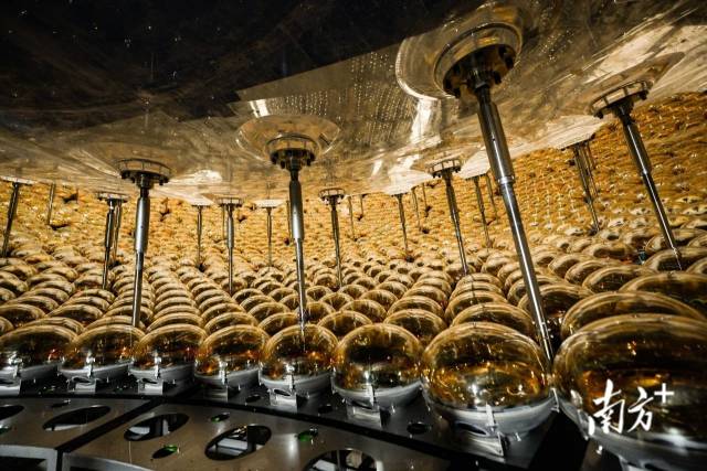 江門中微子實驗的光電倍增管。