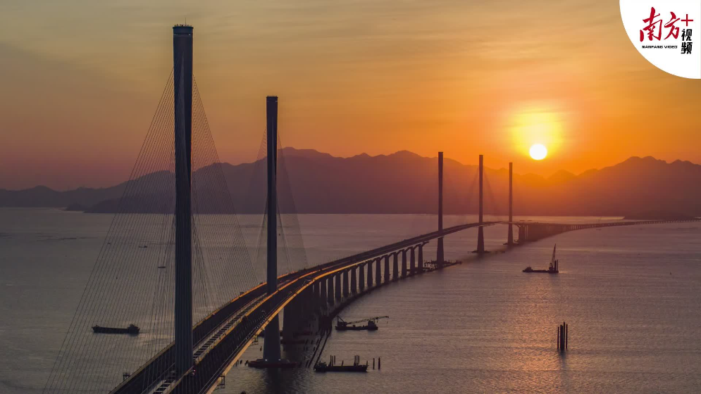 短短4年建成跨海通道，“黃茅海速度”靠什么