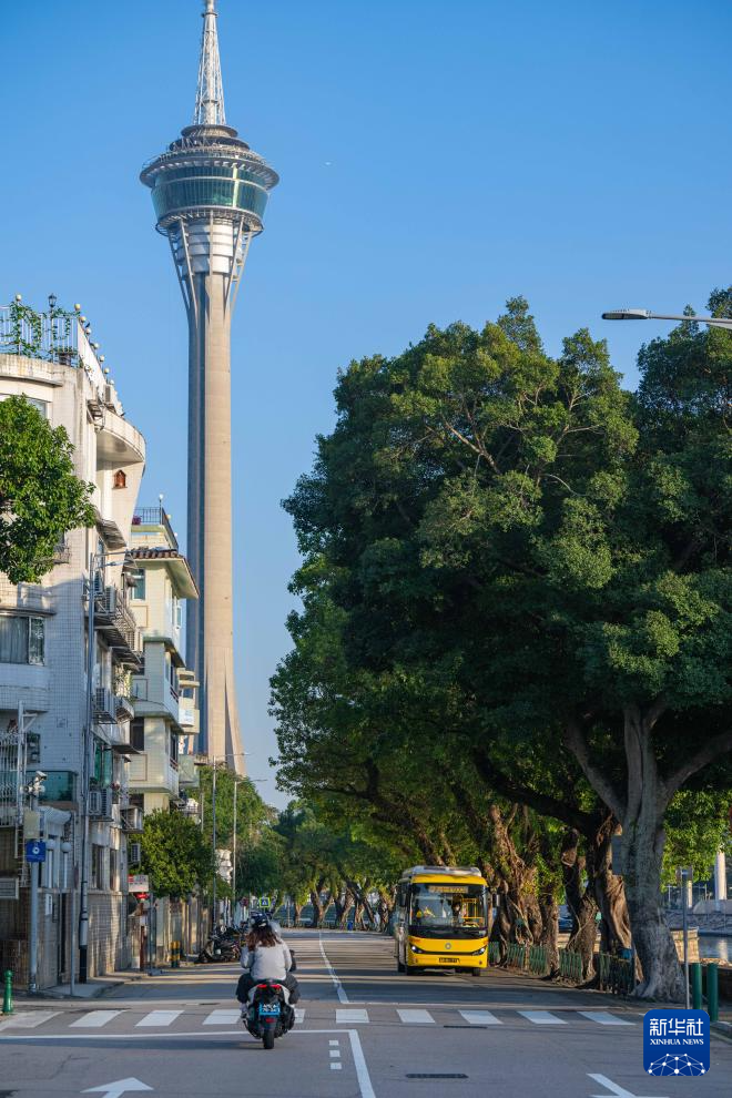 12月2日，車輛在澳門西灣湖景大馬路行駛。