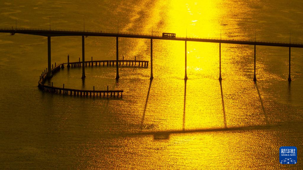 8月8日，一輛公交車在澳門嘉樂庇總督大橋上行駛。