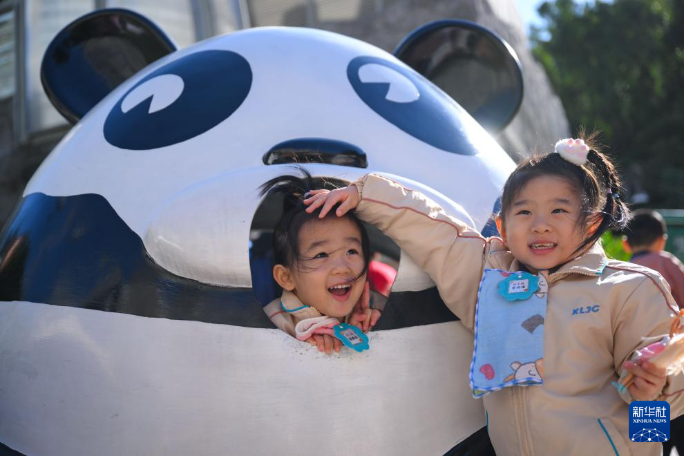 11月29日在澳門石排灣郊野公園大熊貓館外拍攝的澳門幼兒園小朋友。