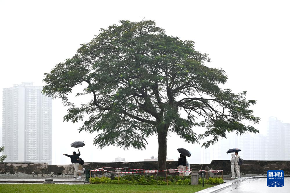 人們在澳門大炮臺游玩（11月20日攝）。