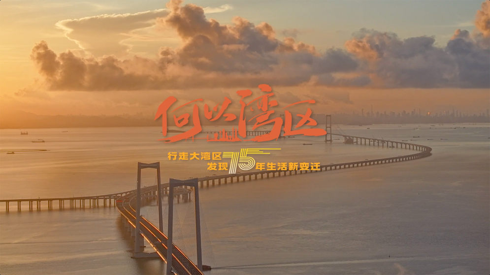 何以灣區(qū)：海峽“縫合術(shù)”和軌道網(wǎng)絡(luò)如何“縮小”大灣區(qū)？