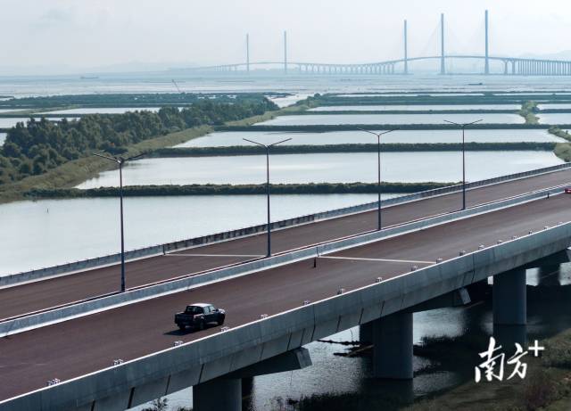 9月27日，黃茅海跨海通道上，馬倩倩正在開(kāi)車(chē)前往施工地點(diǎn)。