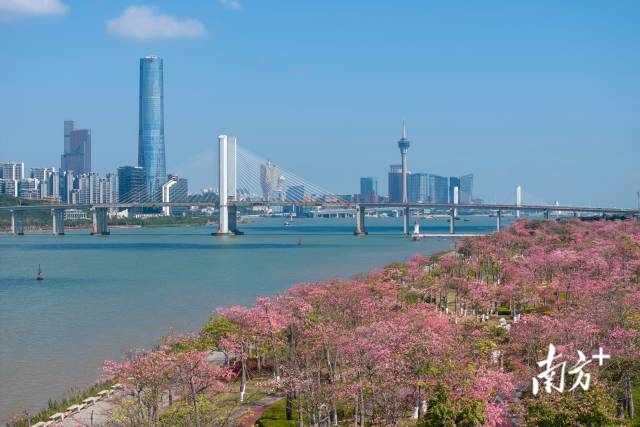 橫琴粵澳深度合作區