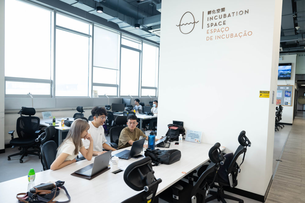 2024年6月17日，澳門青年在創業孵化中心工作。