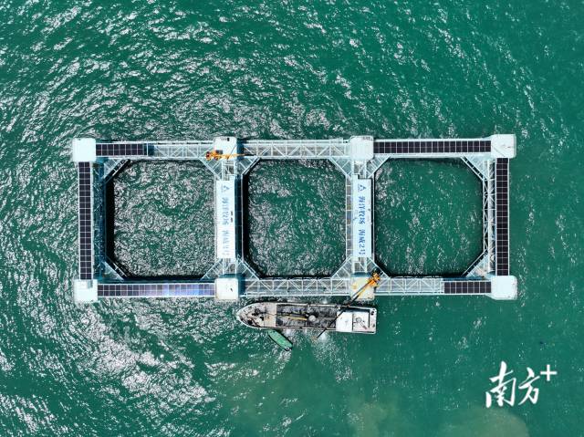 廣東出臺全國首個海洋漁業全產業發展規劃