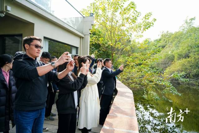 澳門青年在南海參觀，紛紛拿起手機拍攝。通訊員供圖 澳門青年在南海參觀，紛紛拿起手機拍攝。通訊員供圖