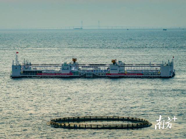 “格盛1號(hào)”智慧型桁架式深遠(yuǎn)海養(yǎng)殖平臺(tái)