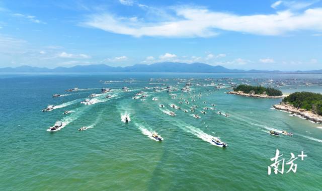 隨著現(xiàn)代化海洋牧場(chǎng)建設(shè)的深入推進(jìn)，廣東“藍(lán)色糧倉(cāng)”越建越豐實(shí)，“大食物觀”之路越蹚越敞亮。2023年以來(lái)，廣東14個(gè)沿海地市已開(kāi)工現(xiàn)代化海洋牧場(chǎng)項(xiàng)目90個(gè)、總投資額202億元。