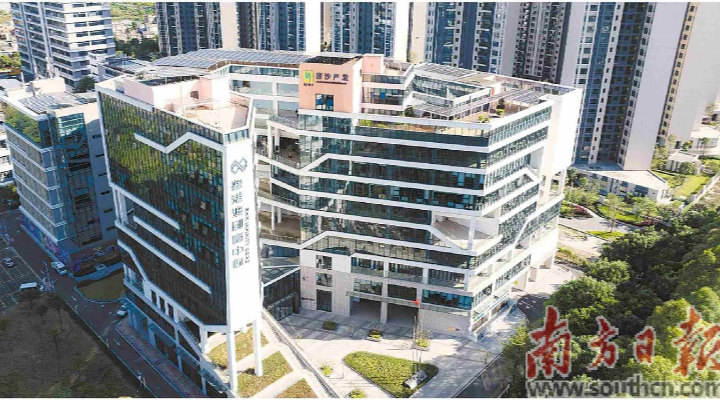 南沙科創中心何以“臥虎藏龍”